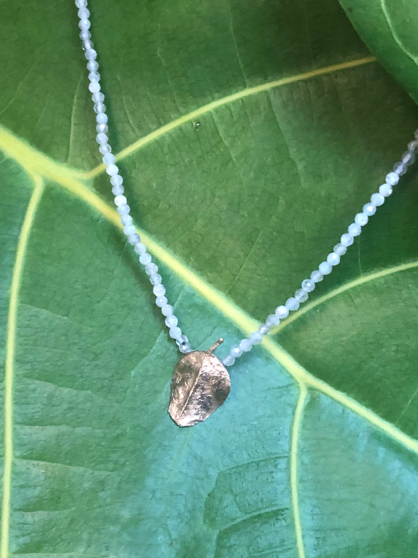 Collana Foglia del Cappero