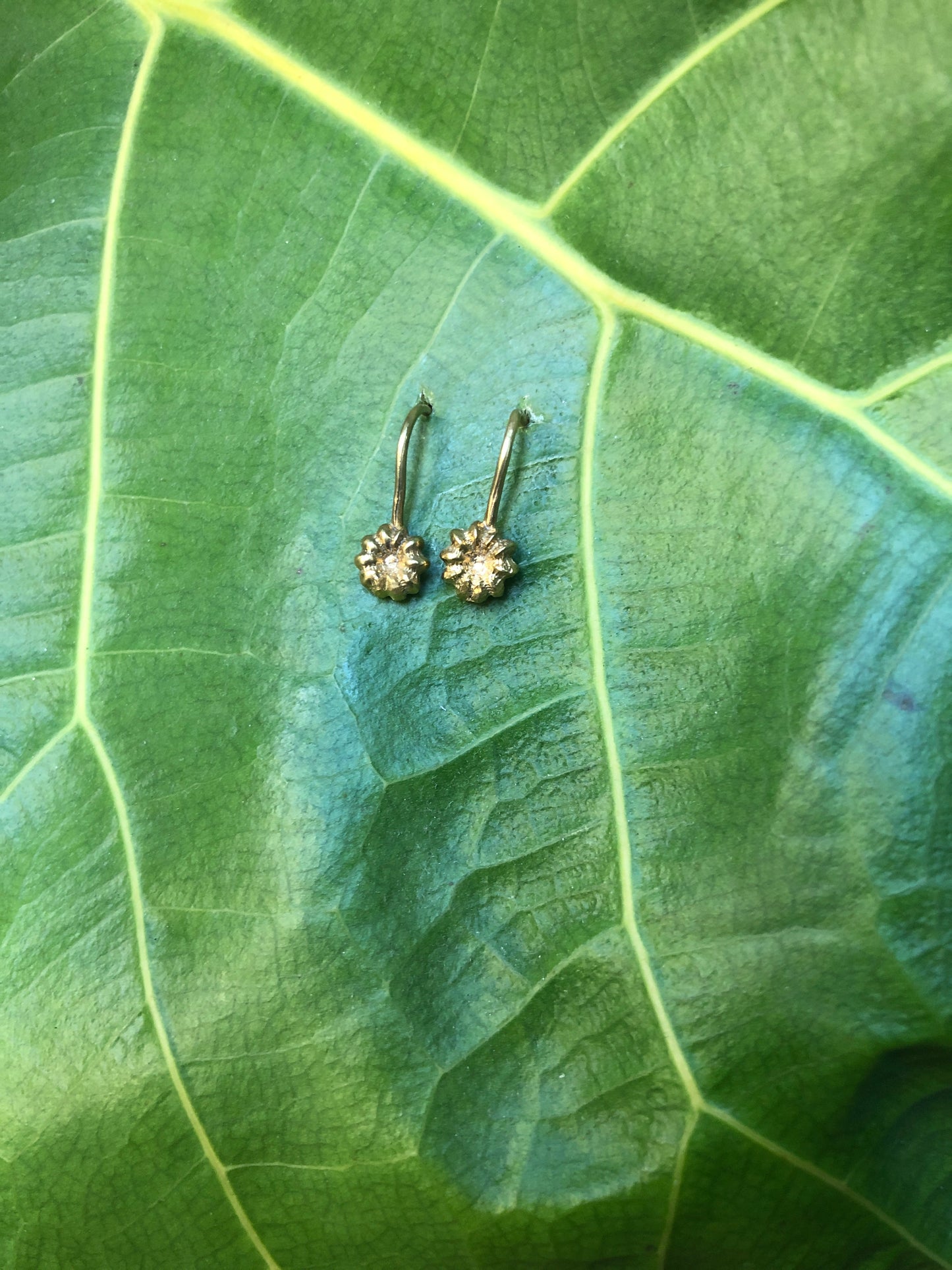 Orecchini amo Phytolacca