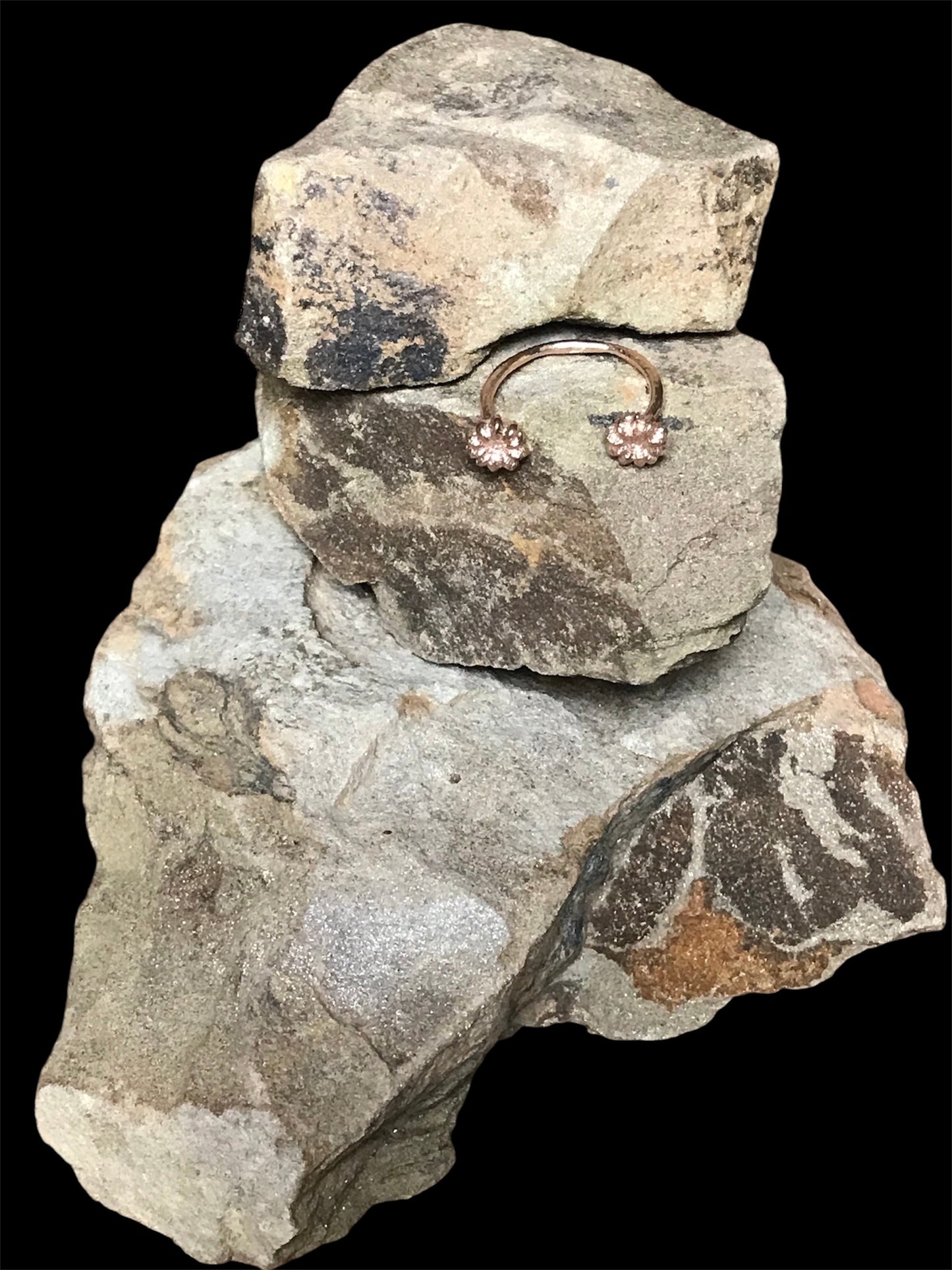 Anello aperto Phytolacca