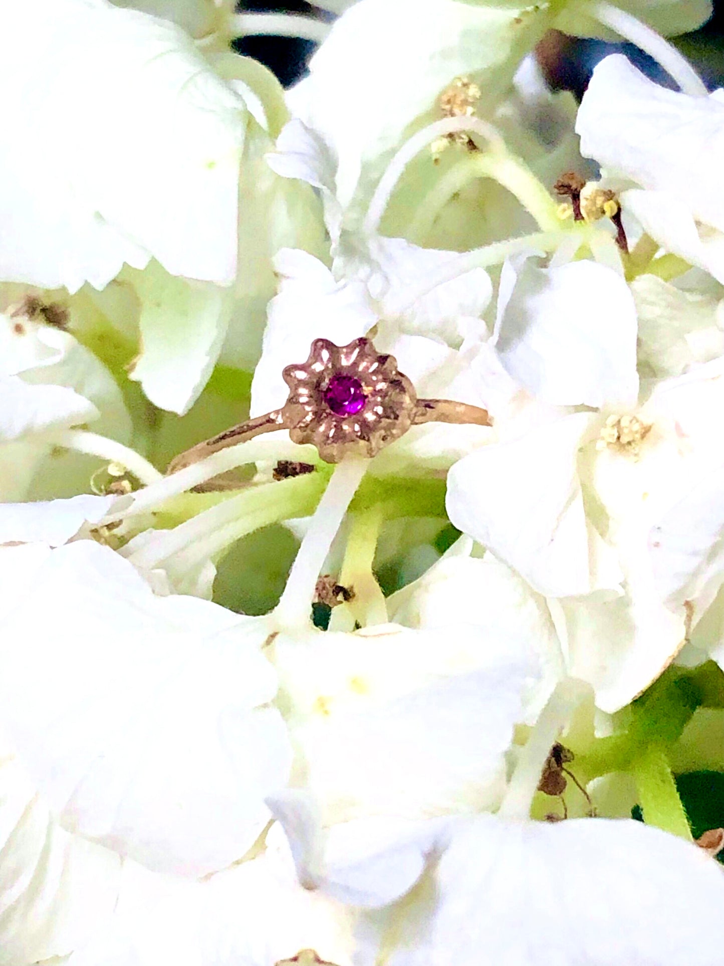 Anello Phytolacca