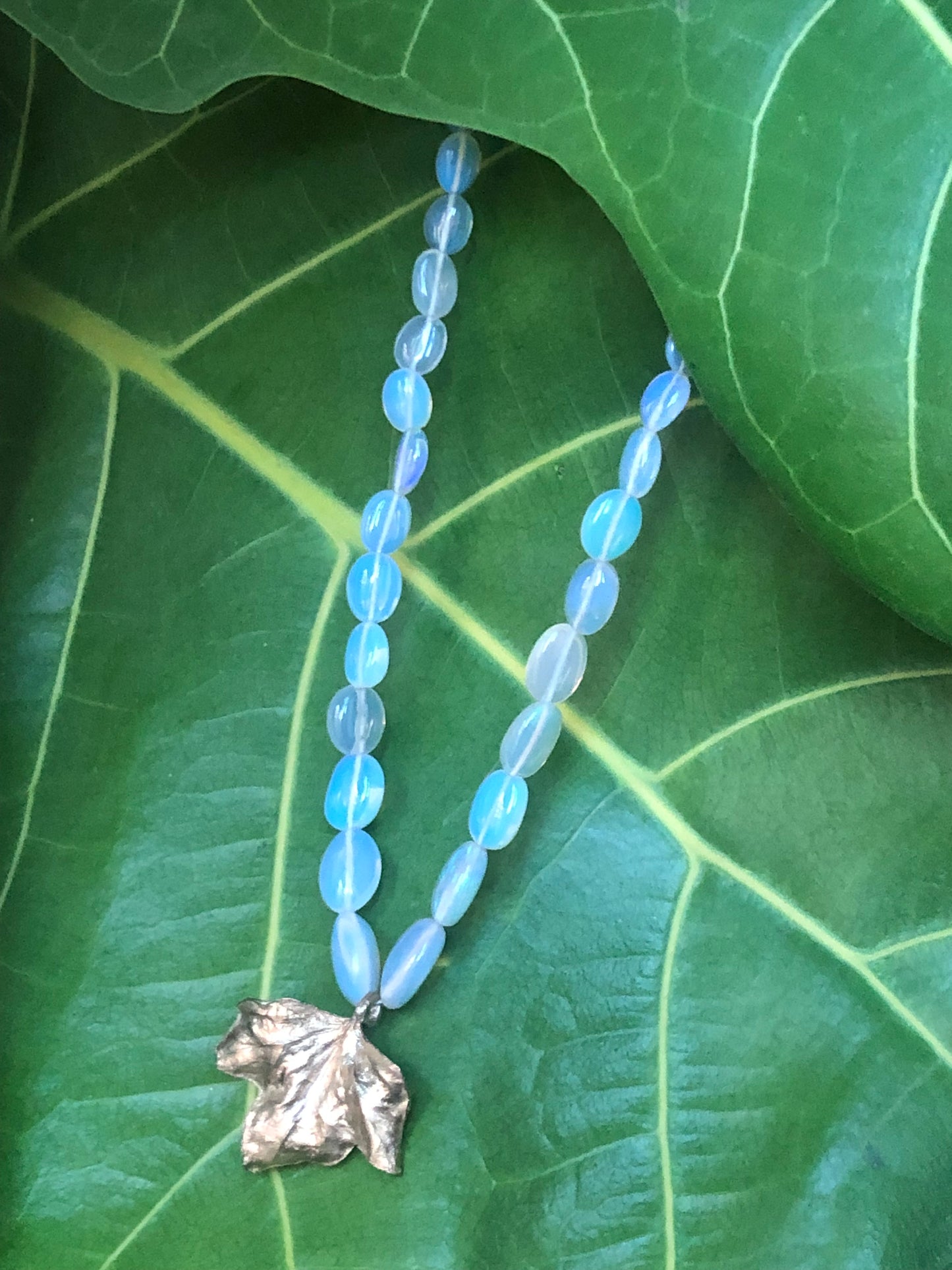 Collana Edera