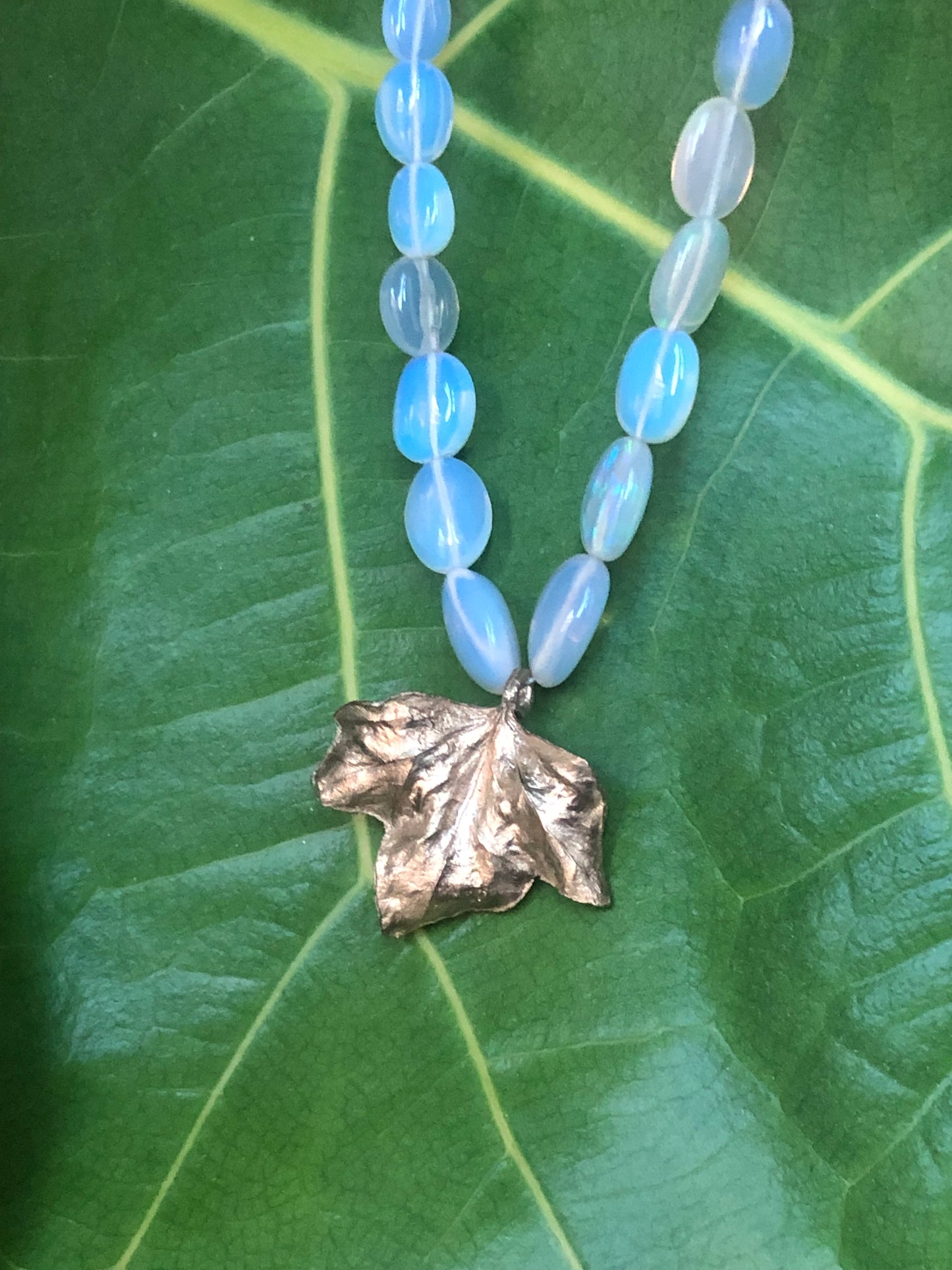 Collana Edera