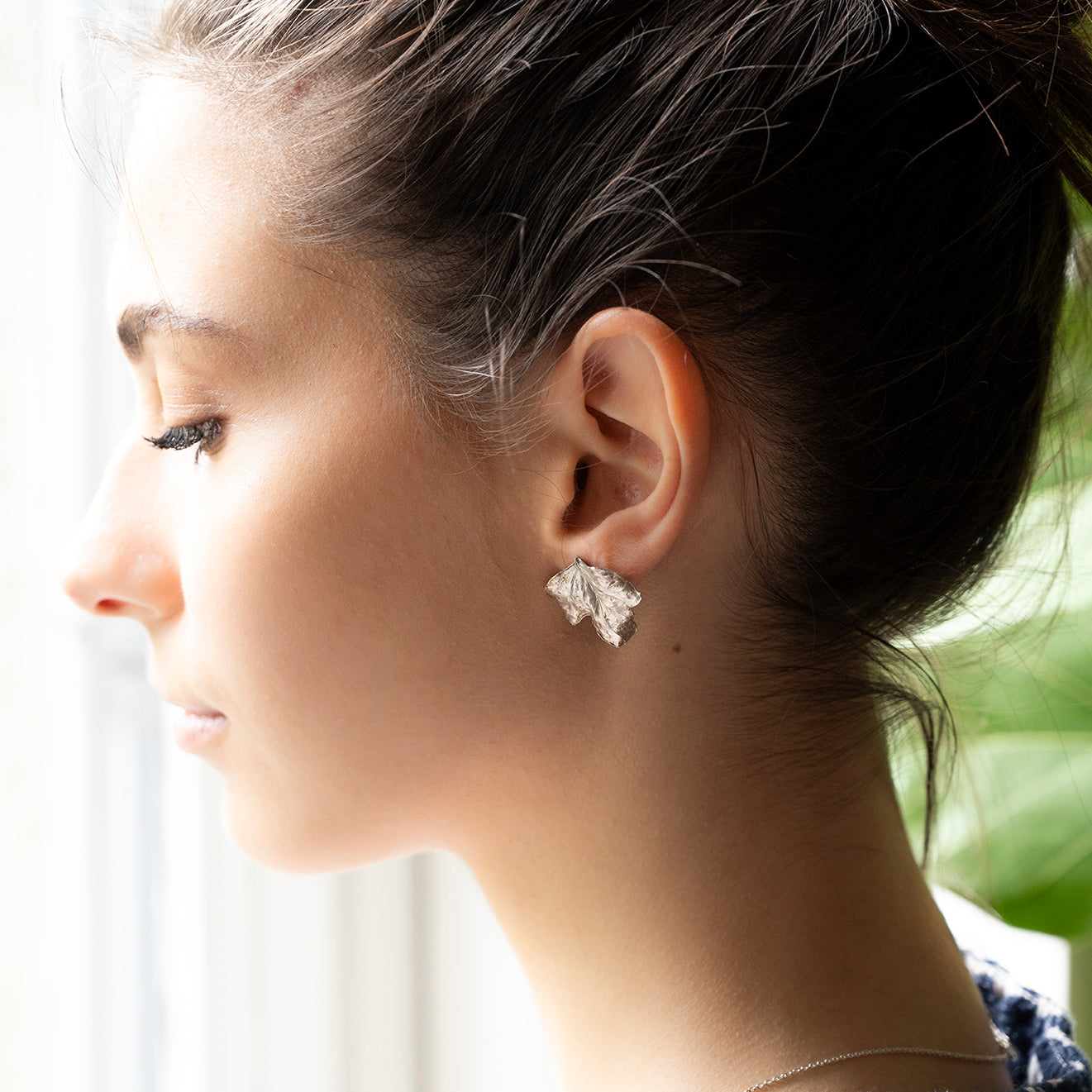 Edera studs