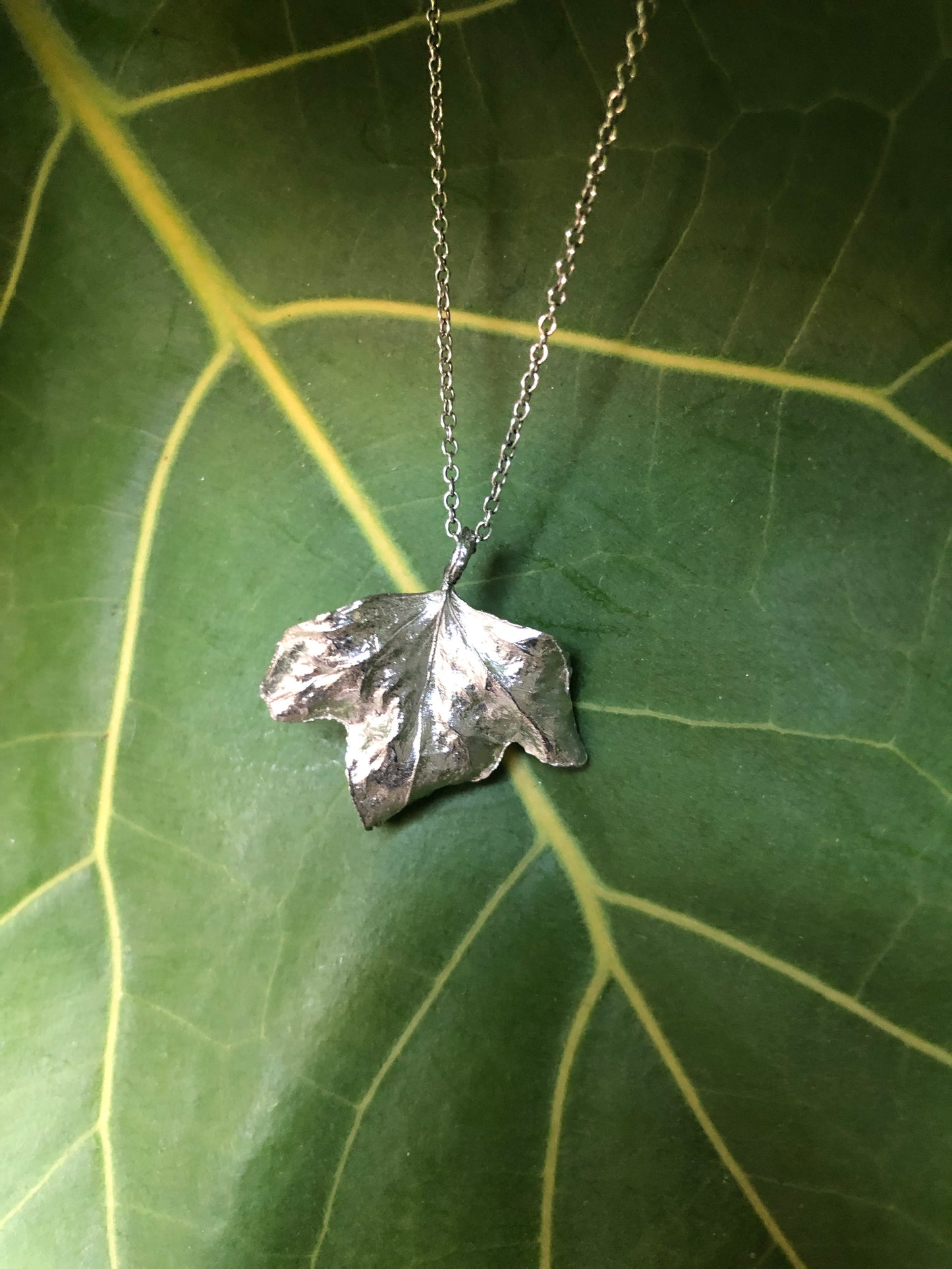 Collana Edera