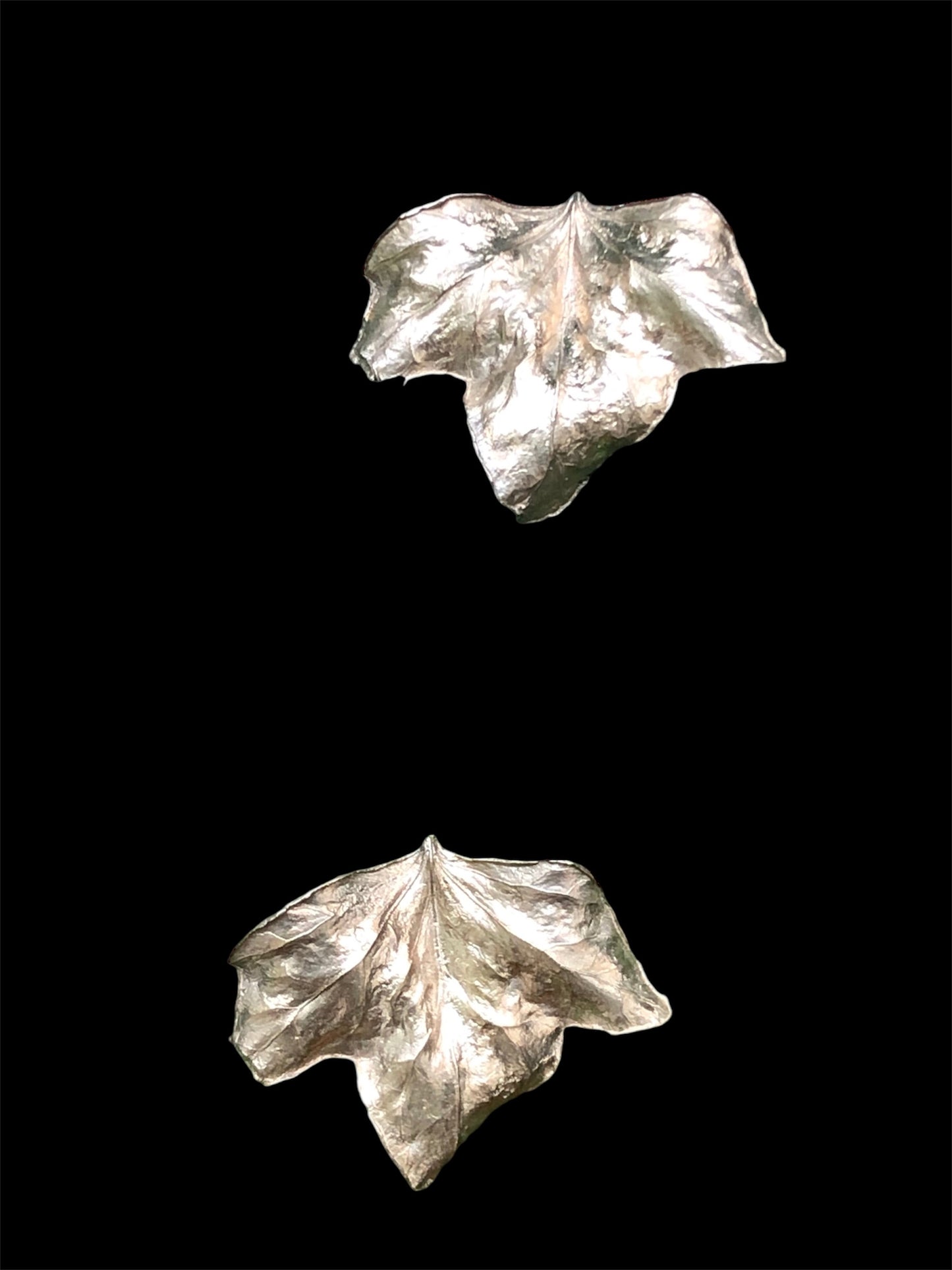 Edera studs