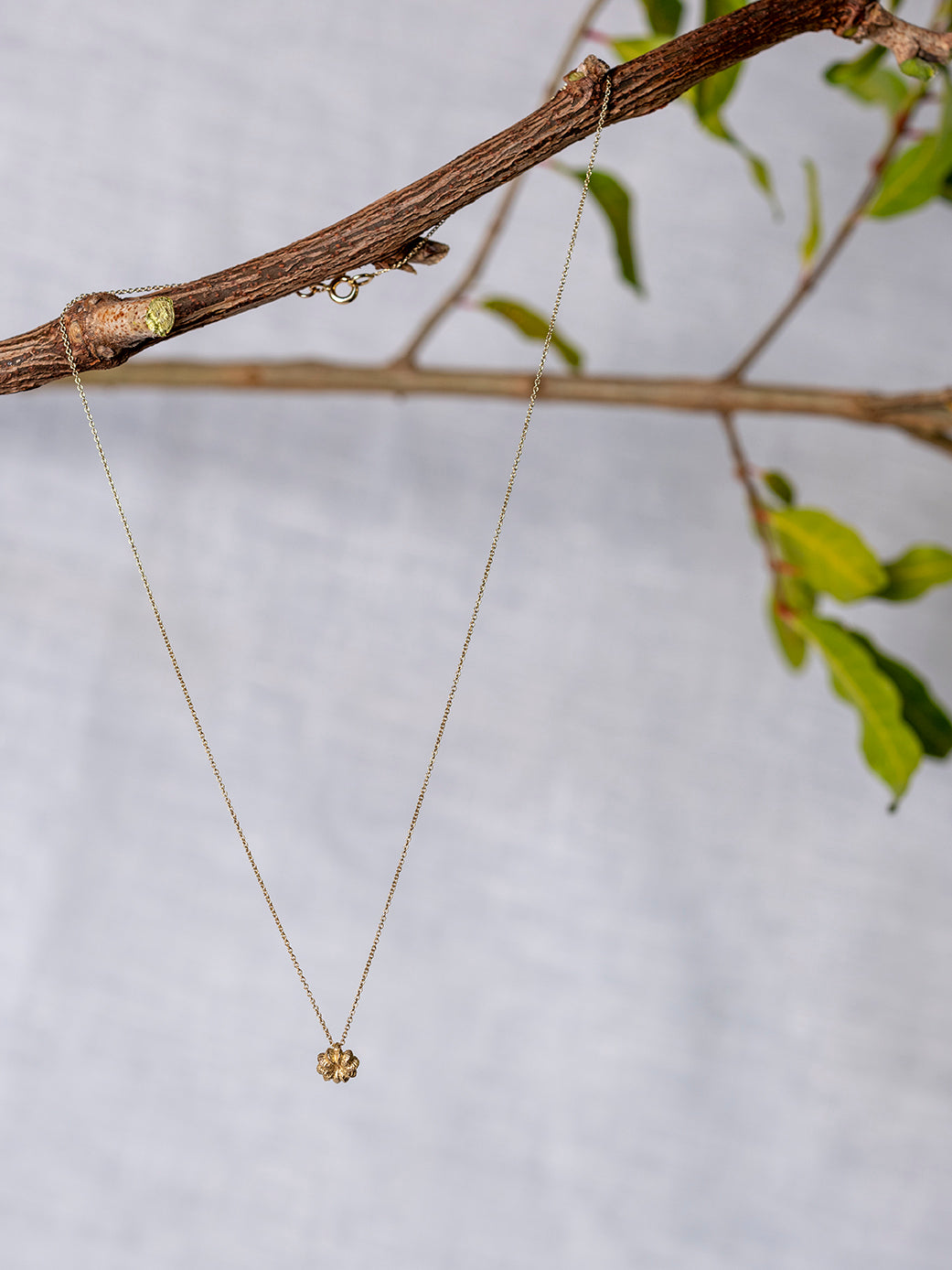 Collana Phytolacca
