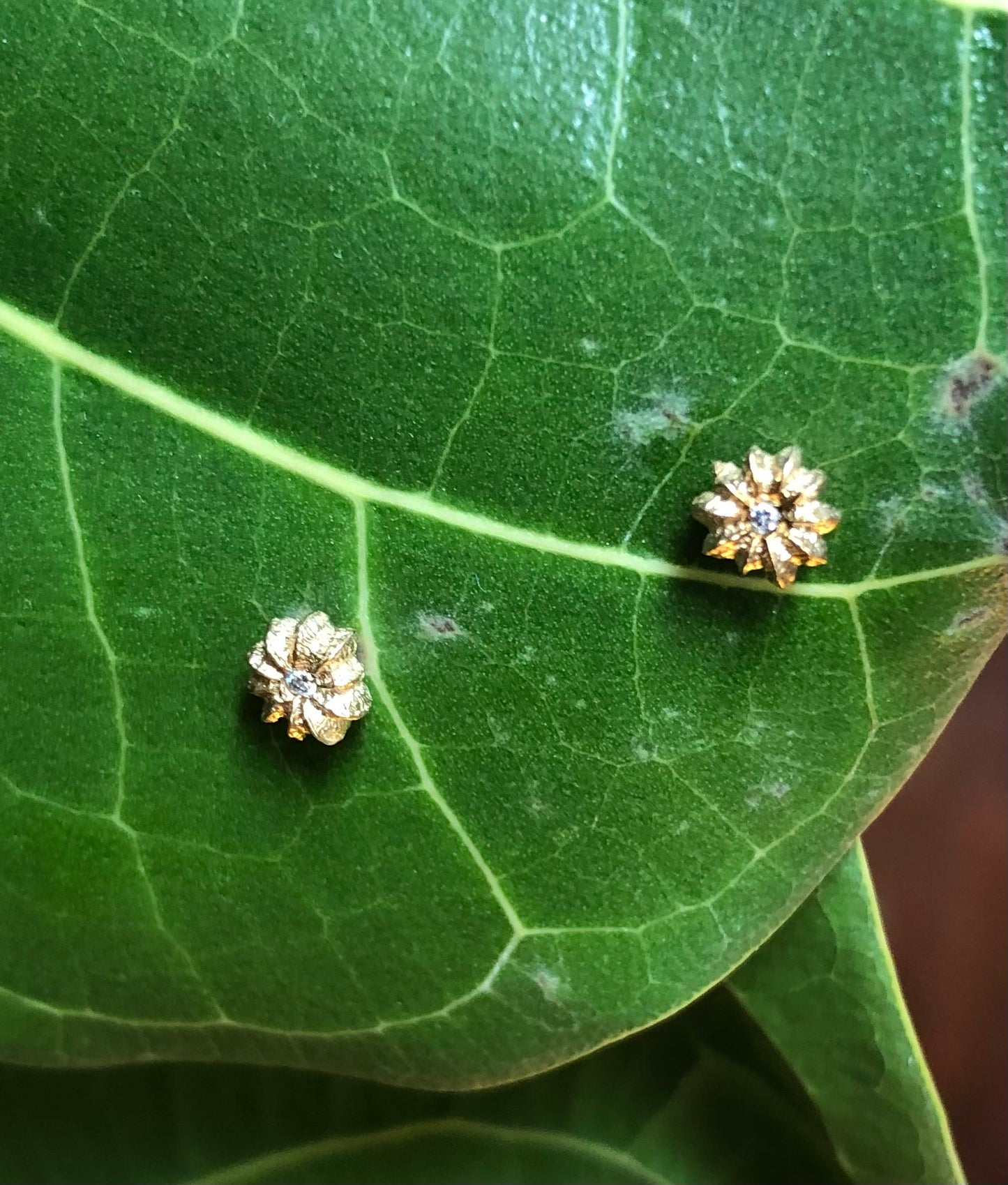 Orecchino/i Stud/s Phytolacca