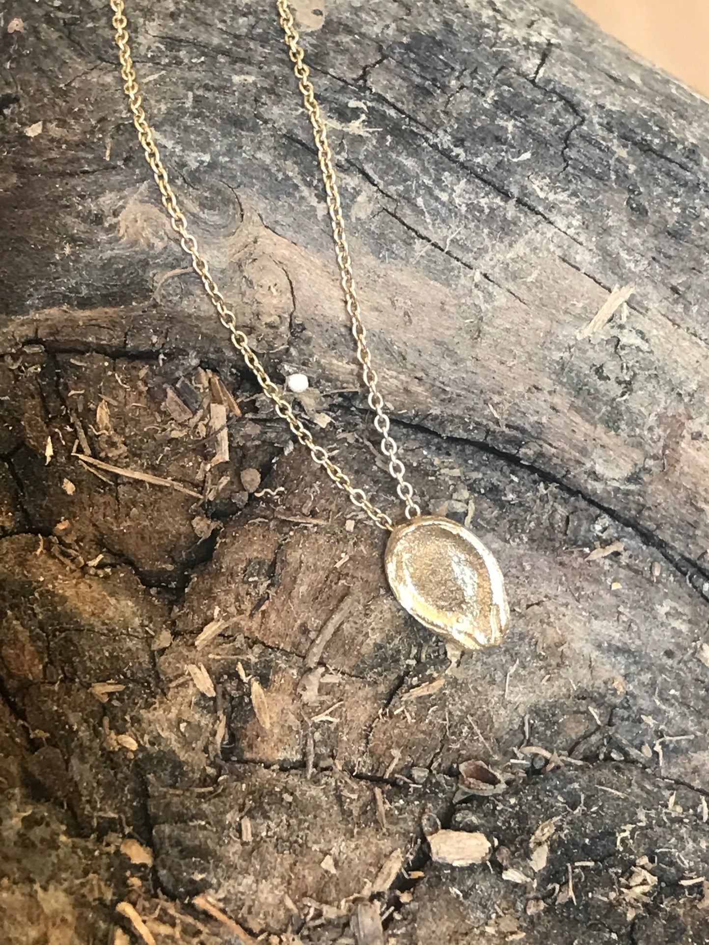 Collana seme Anguria