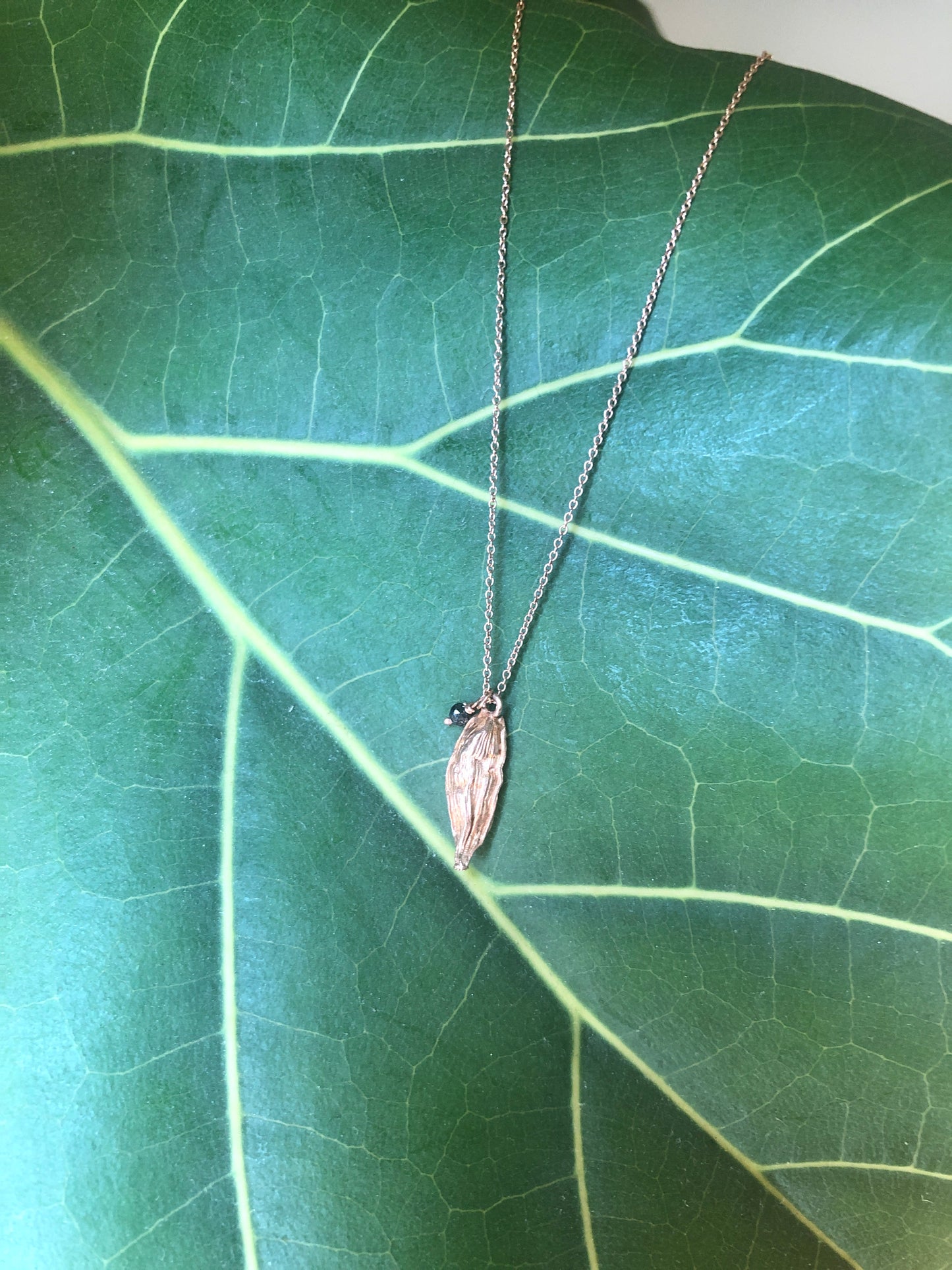 Collana cardamomo