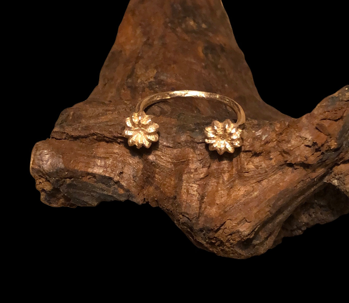 Anello aperto Phytolacca