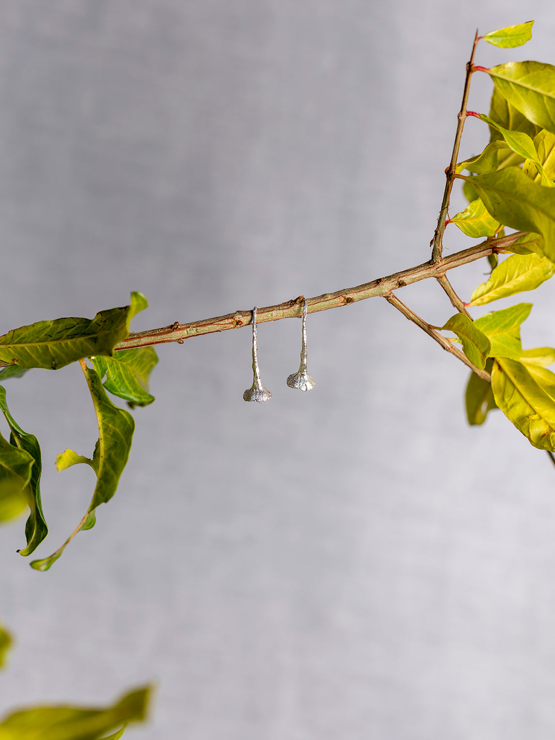 Orecchini Dente di Leone amo