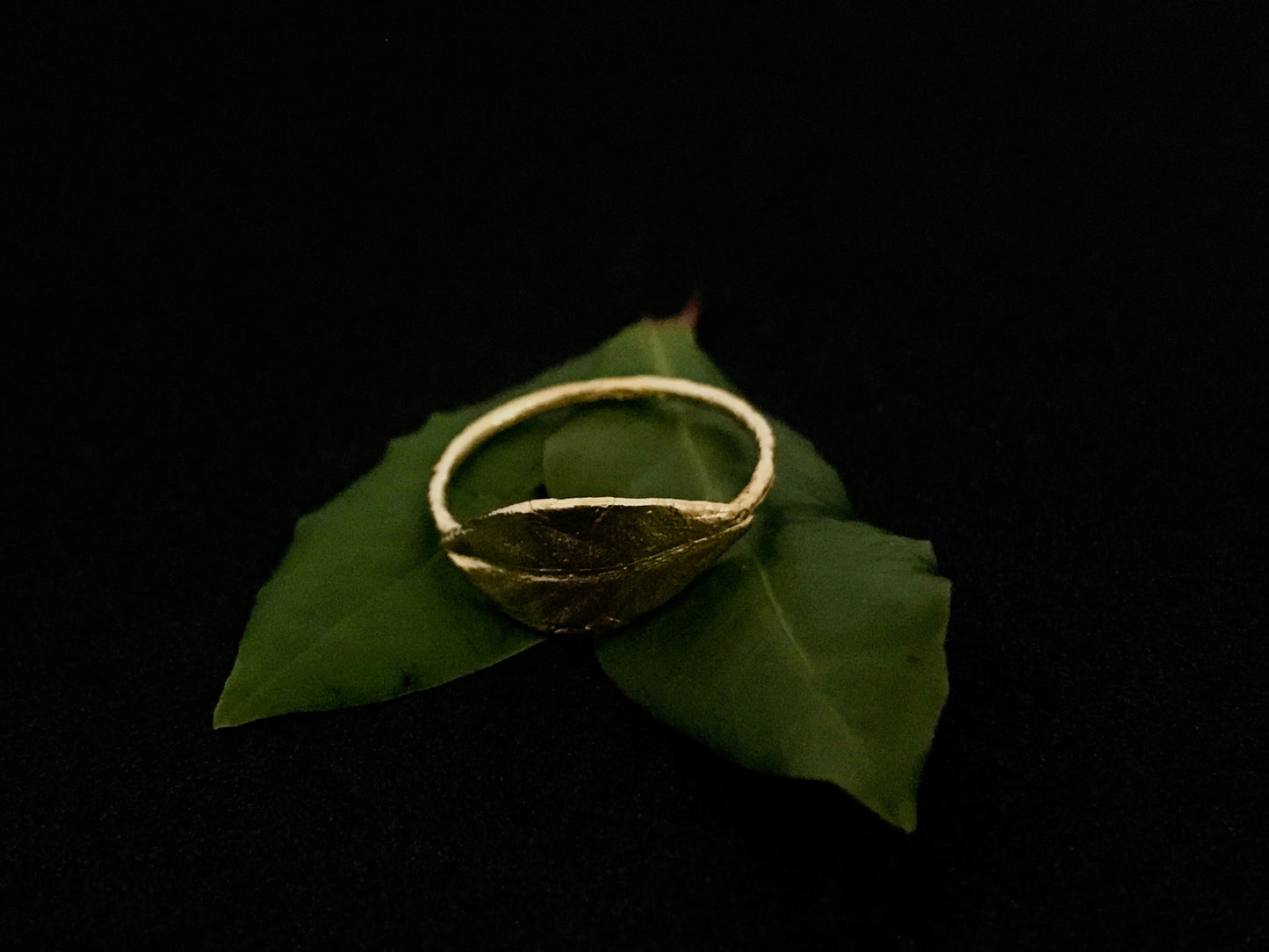 Anello Alloro
