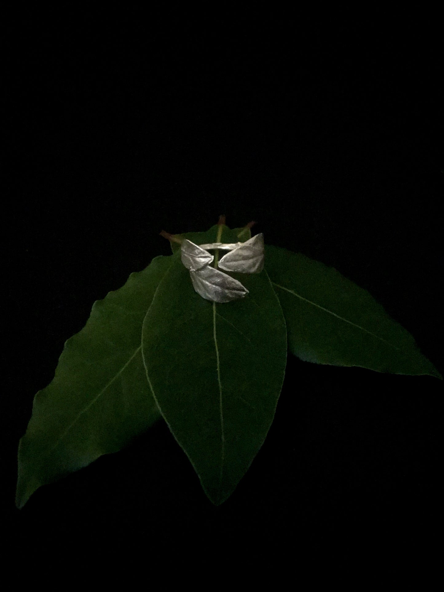 Anello aperto Alloro