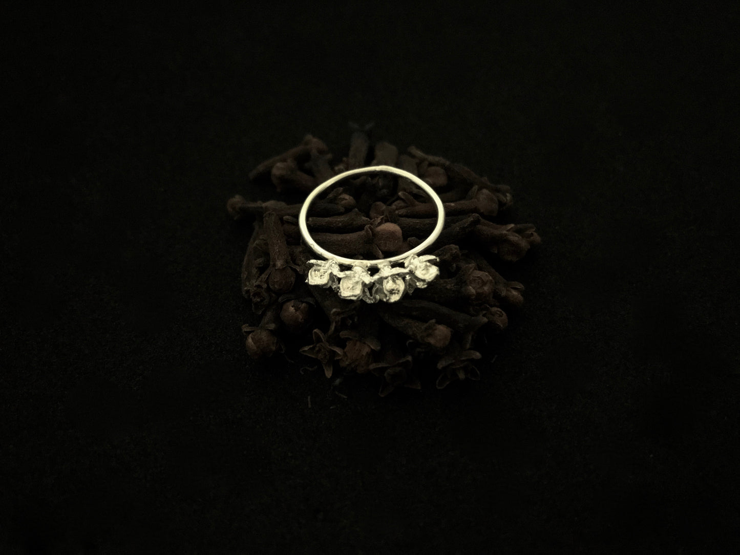 Anello Corona