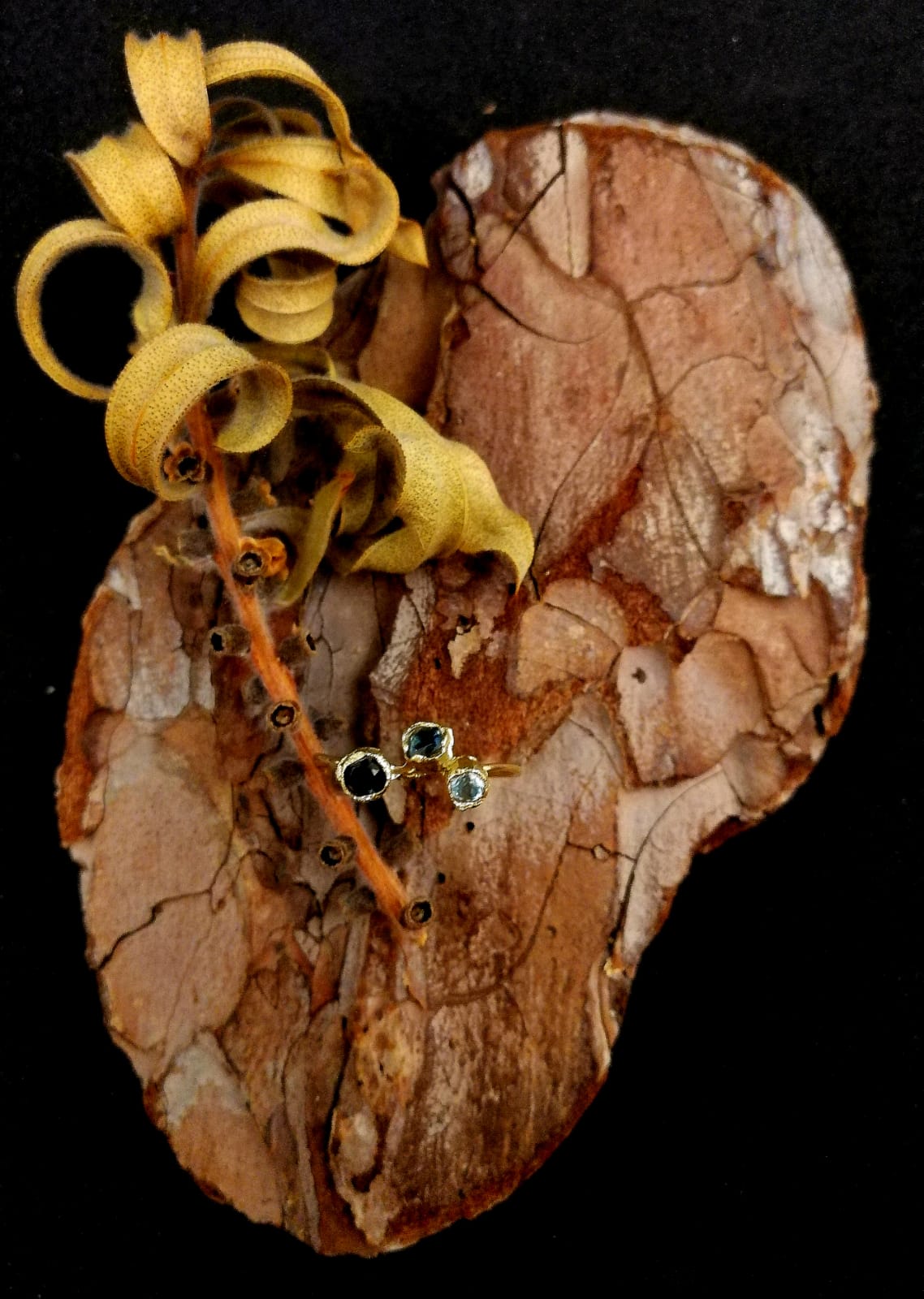 Anello Calistemone