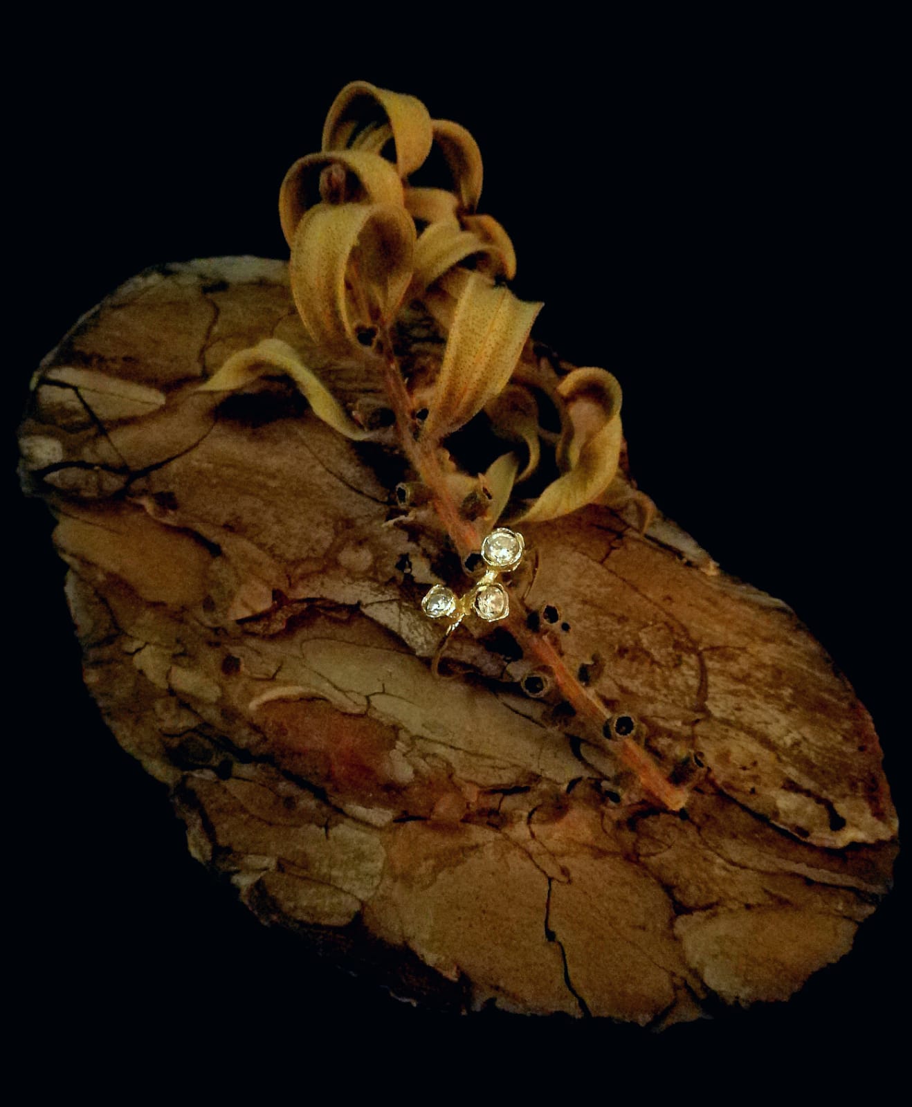 Anello Calistemone