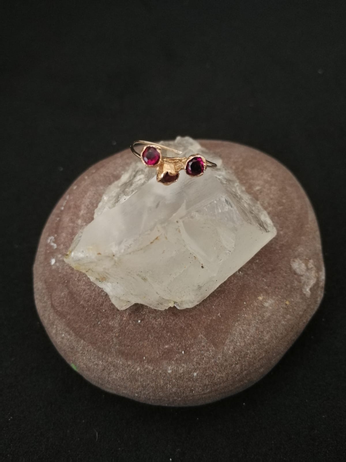 Anello Calistemone
