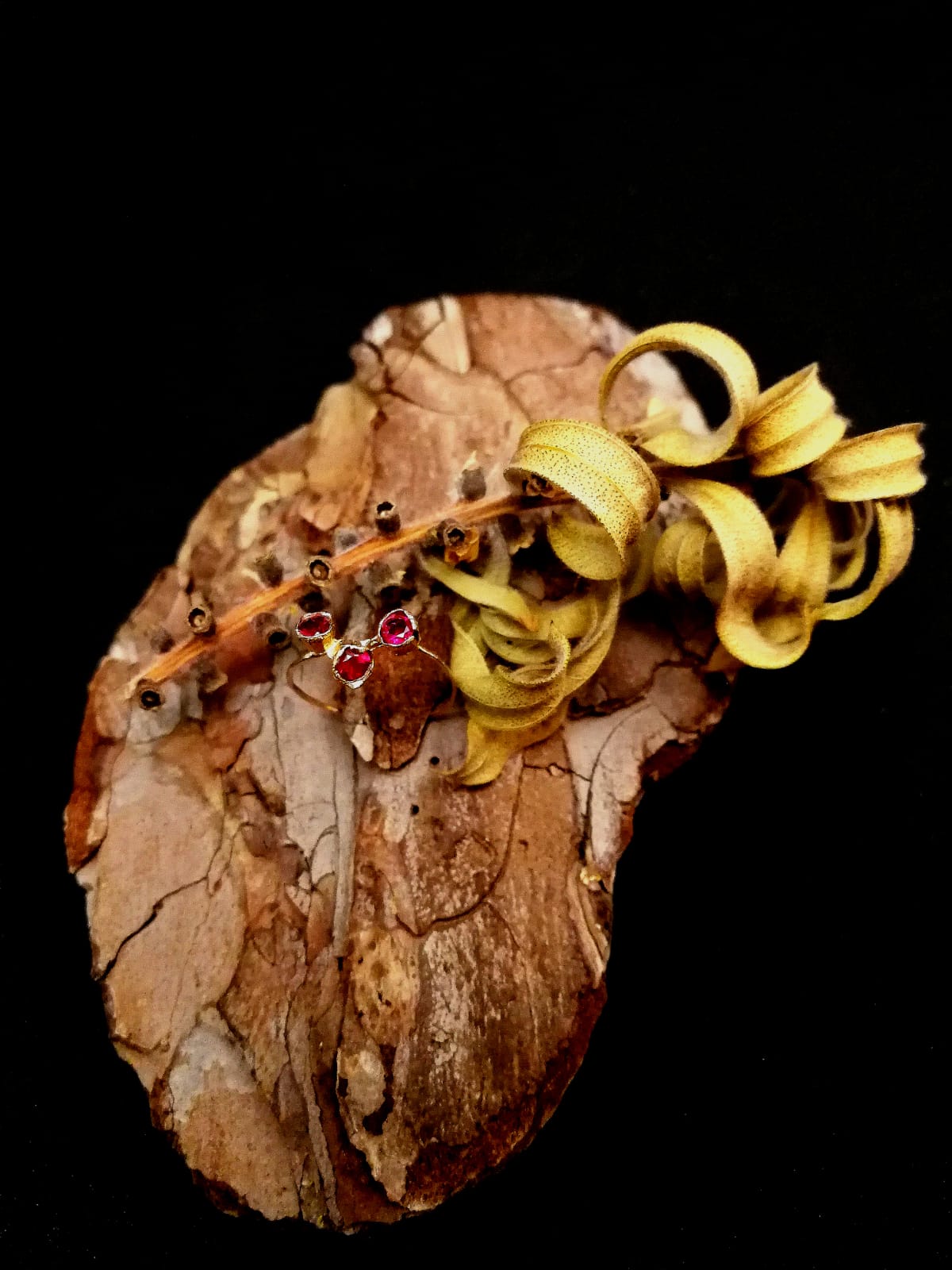 Anello Calistemone