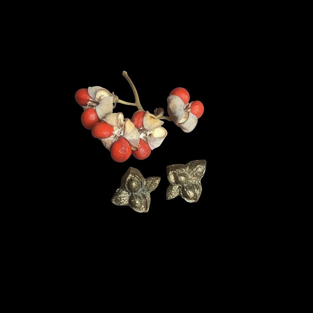 Orecchini a lobo MandalaT in metallo con design floreale ispirato al frutto del Berretto del Prete, finitura materica.