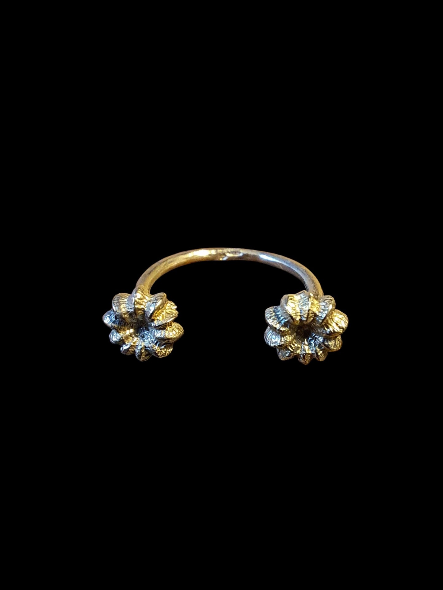 Anello aperto Phytolacca