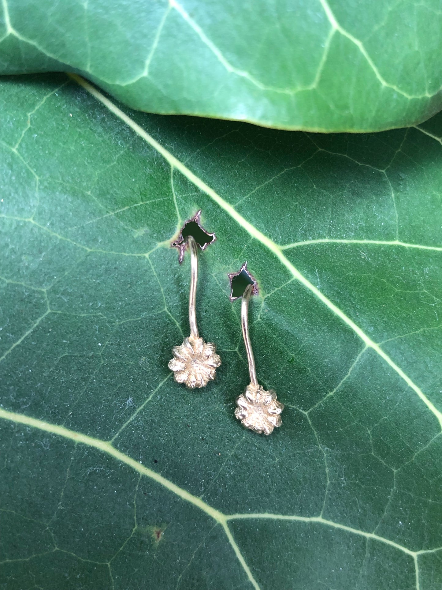 Orecchini amo Phytolacca