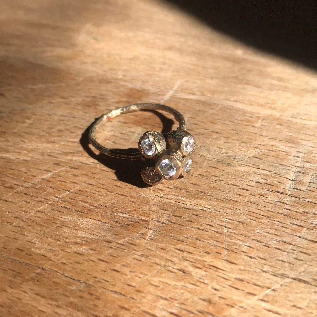 Anello Callistemone ramo