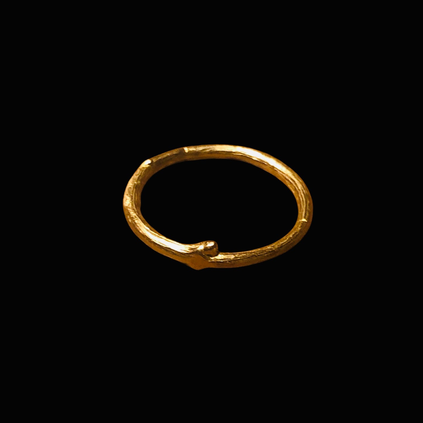 Anello ramo
