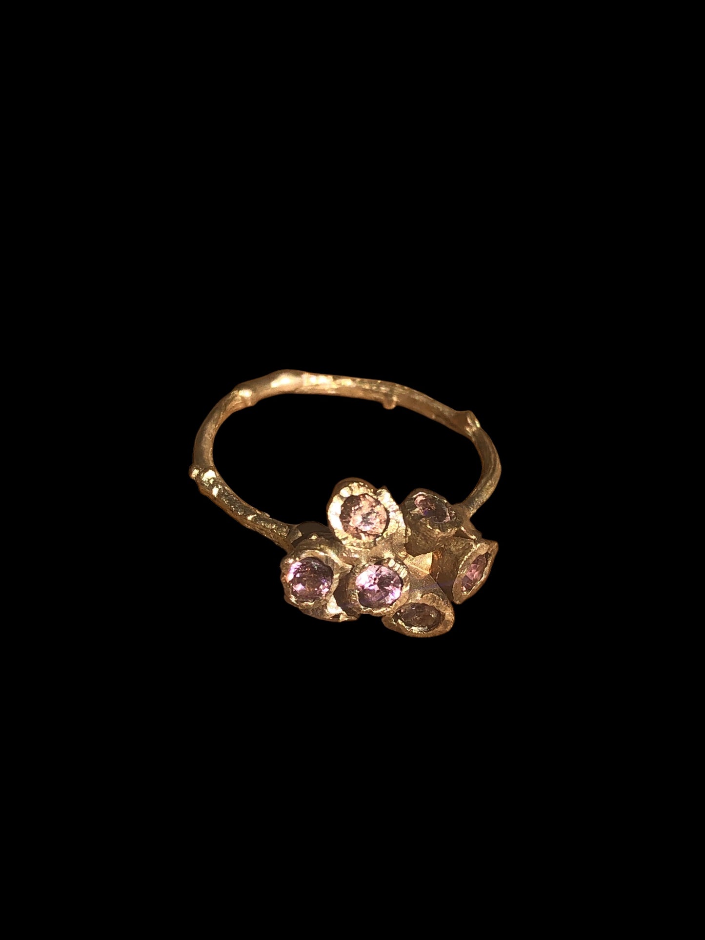 Anello Callistemone ramo