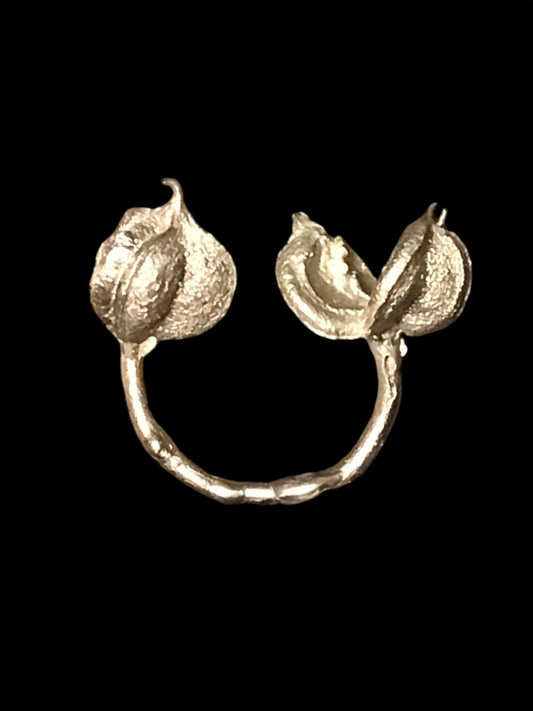 Anello aperto Pitosforo