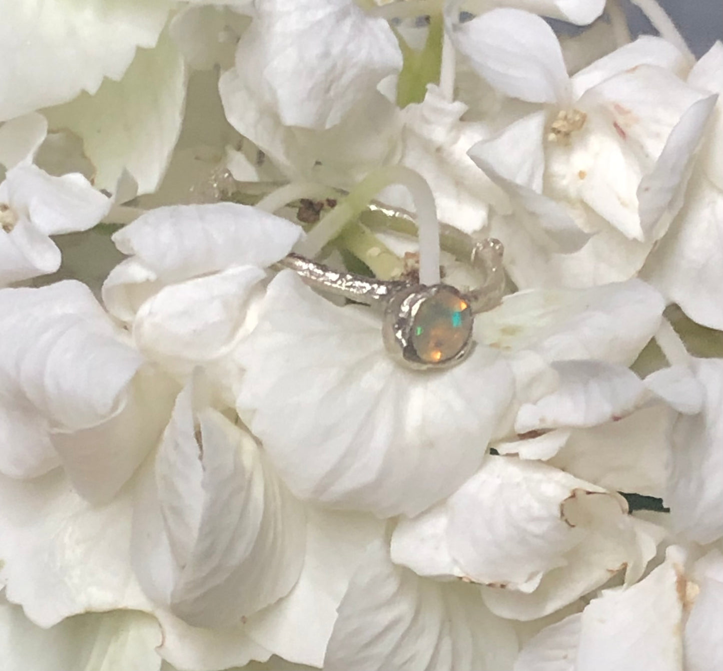 Anello Callistemone solitario