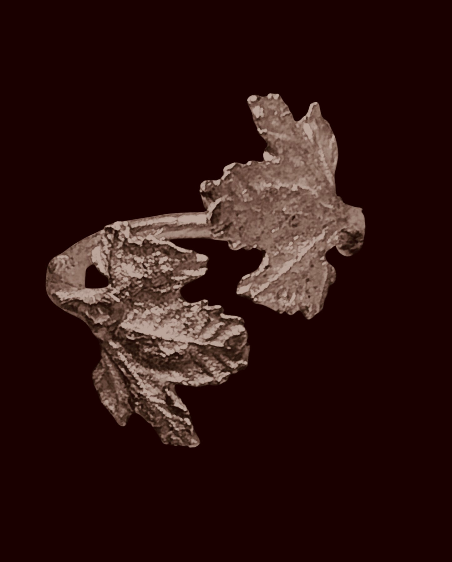 Anello aperto figlie di Vite