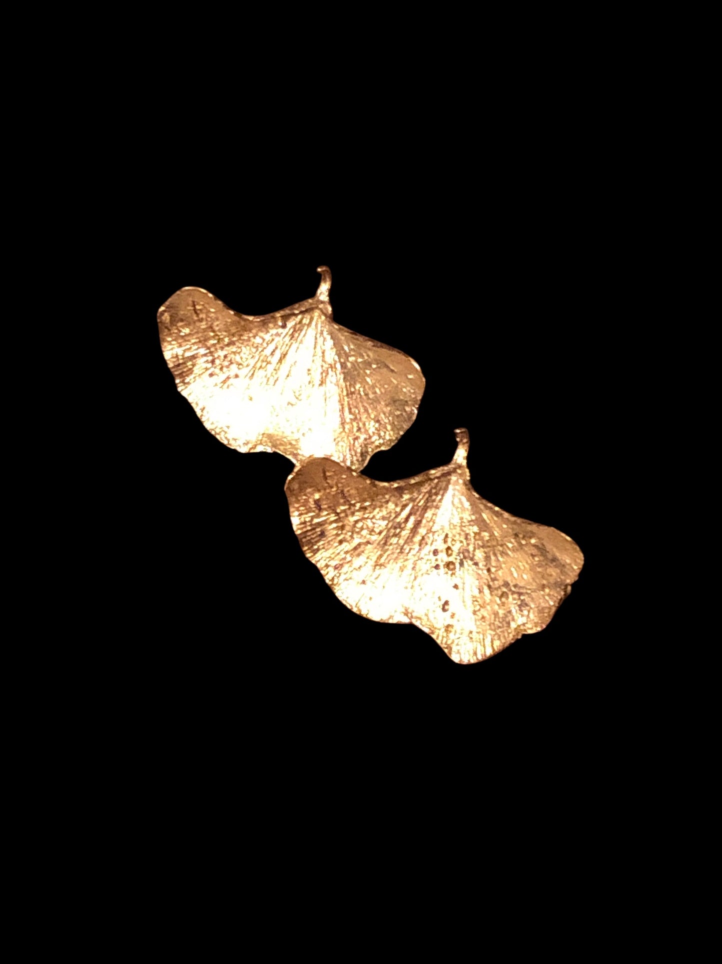 Orecchini Foglia Gingko amo e lobo