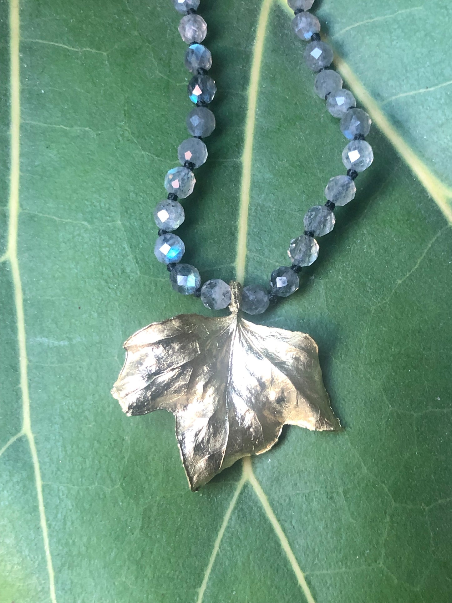Collana Edera