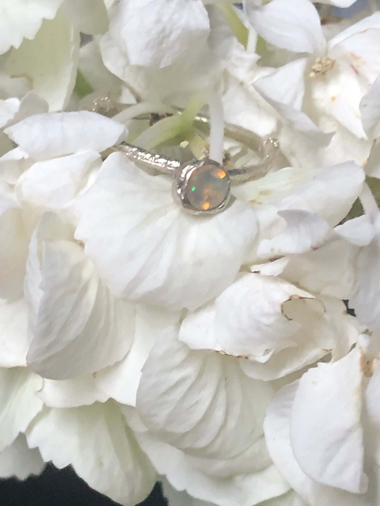 Anello Callistemone solitario