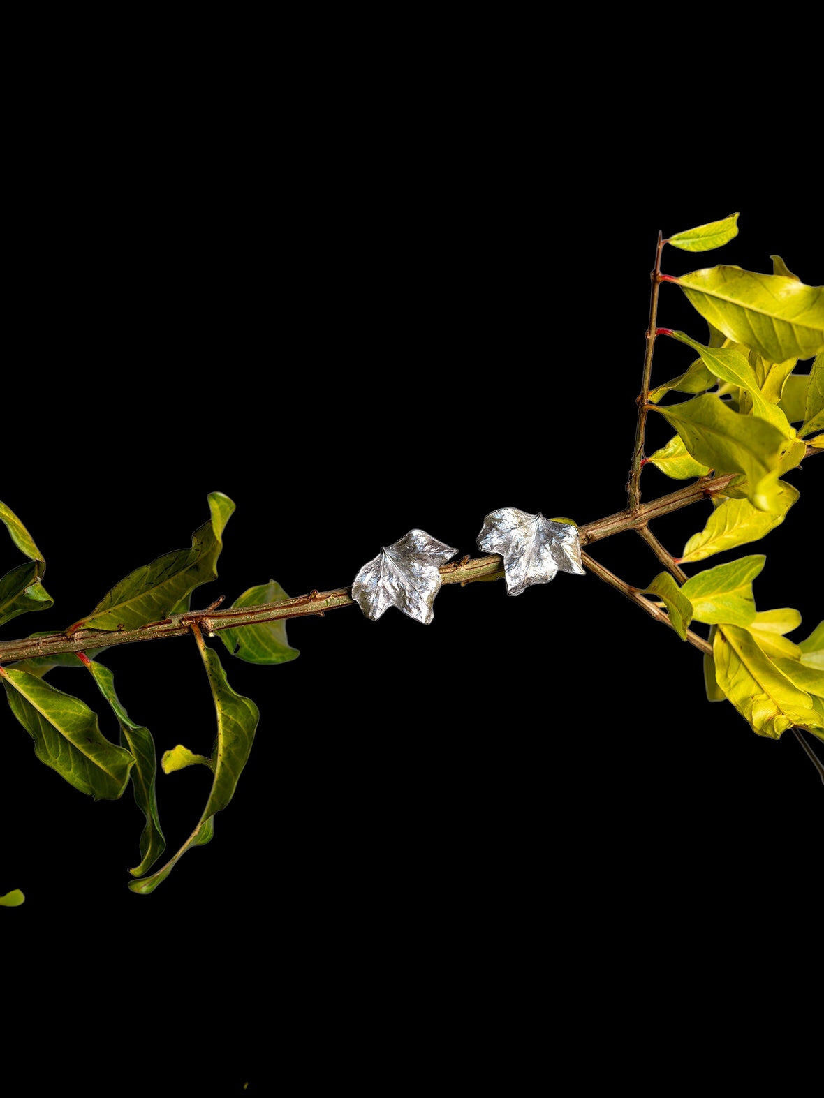Collana Edera