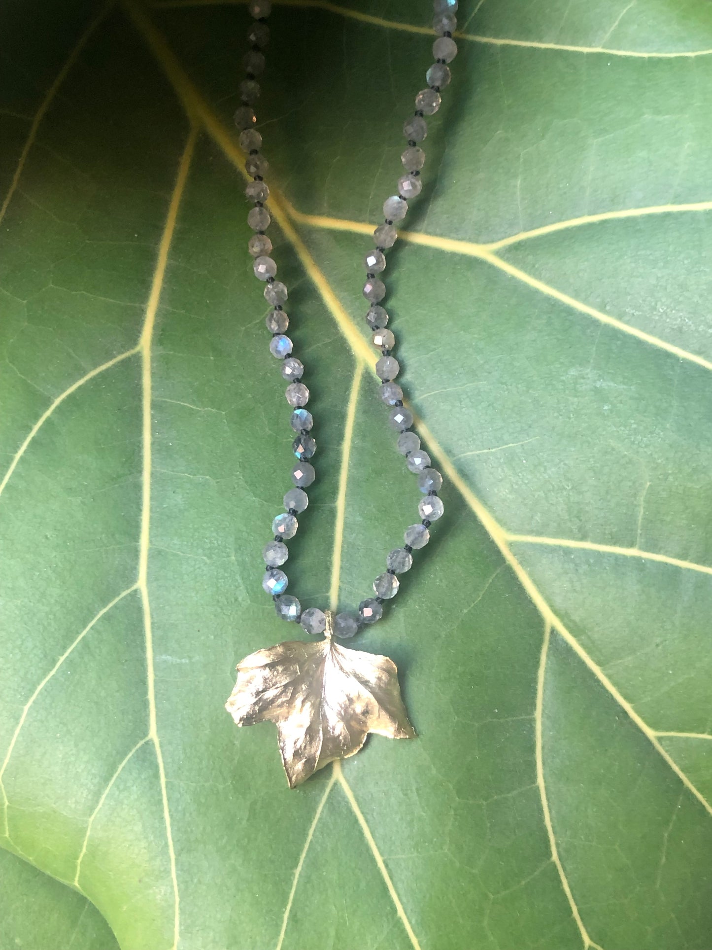 Collana Edera