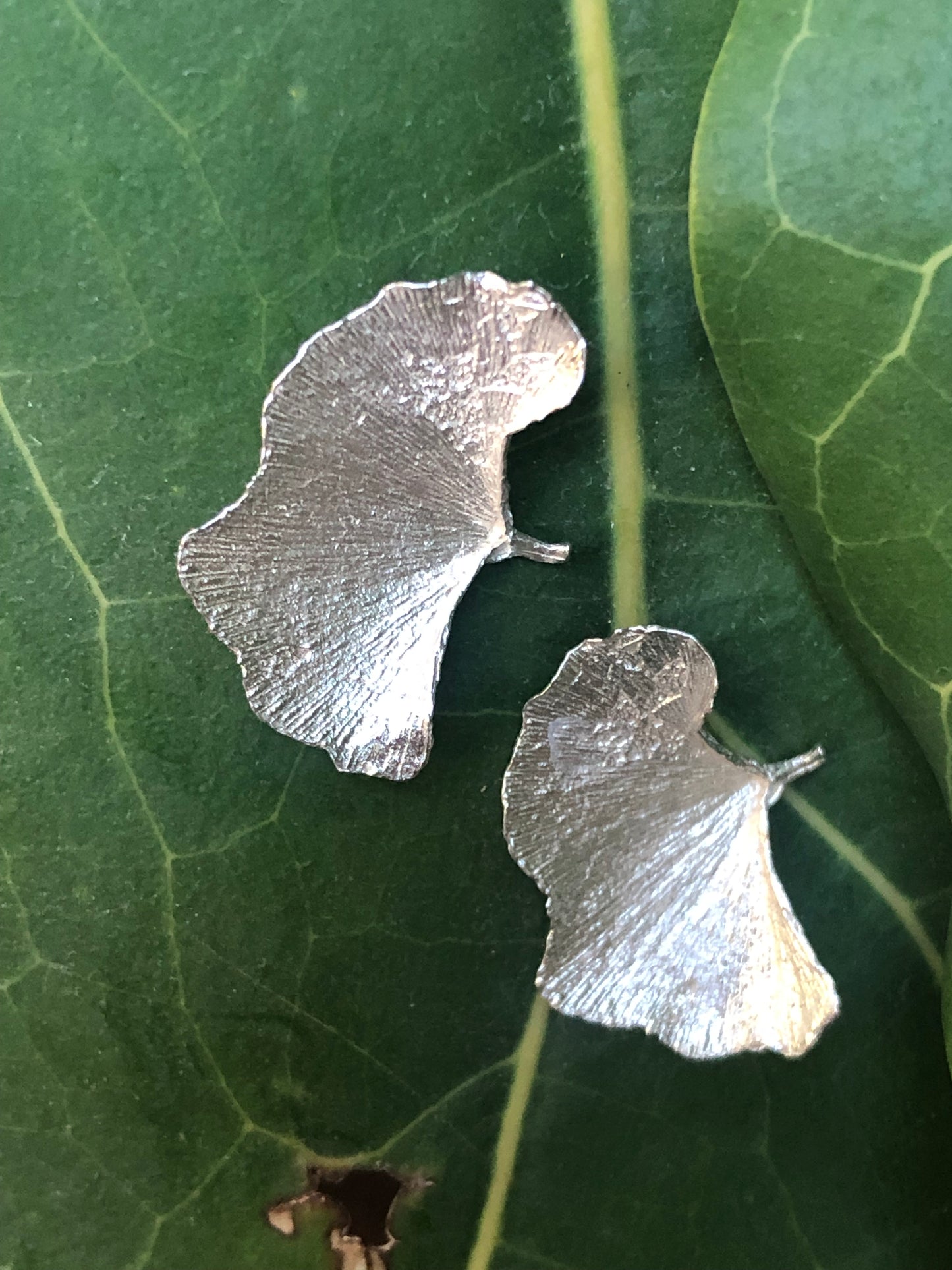 Orecchini Foglia Gingko amo e lobo