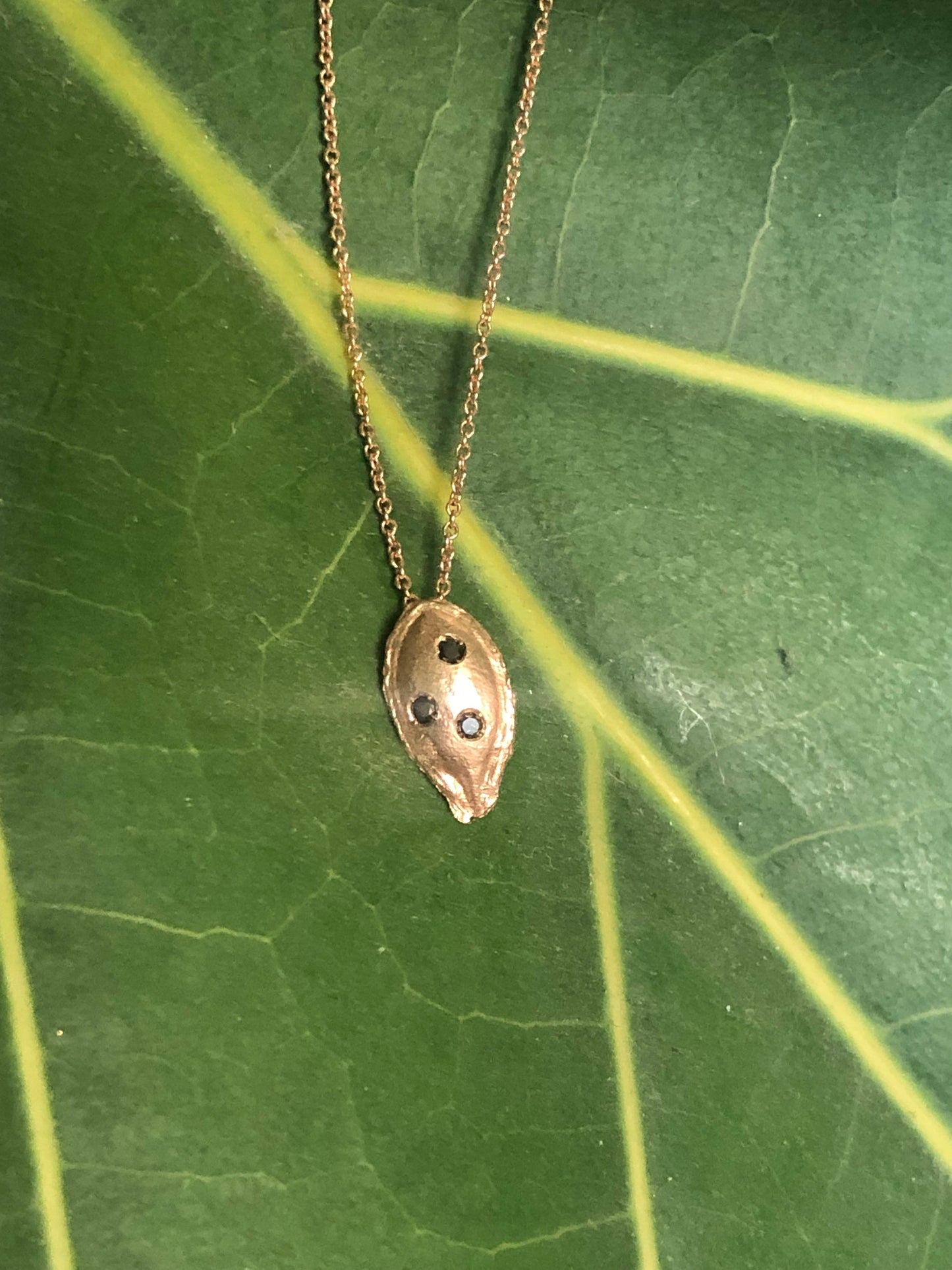 Collana seme Zucca