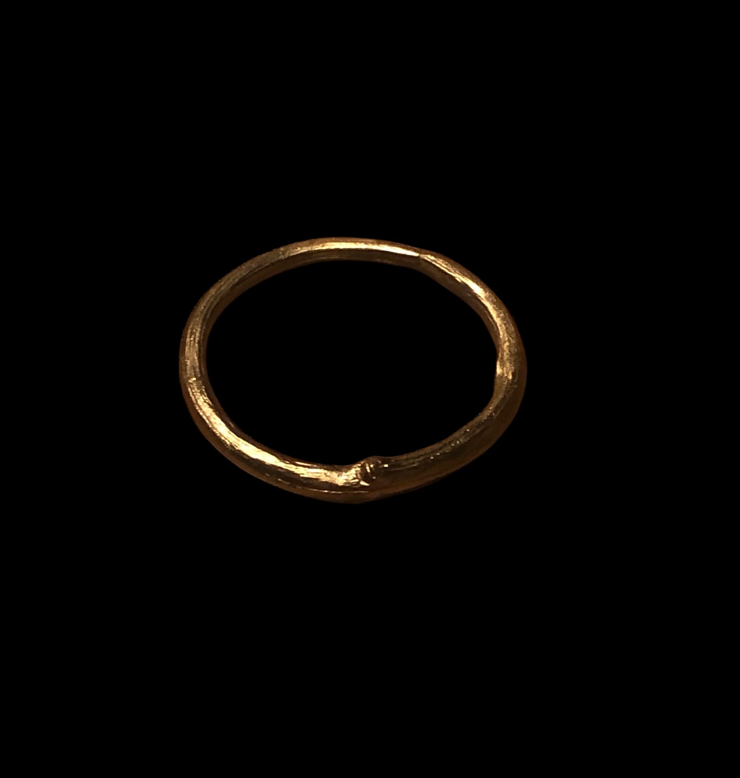 Anello ramo
