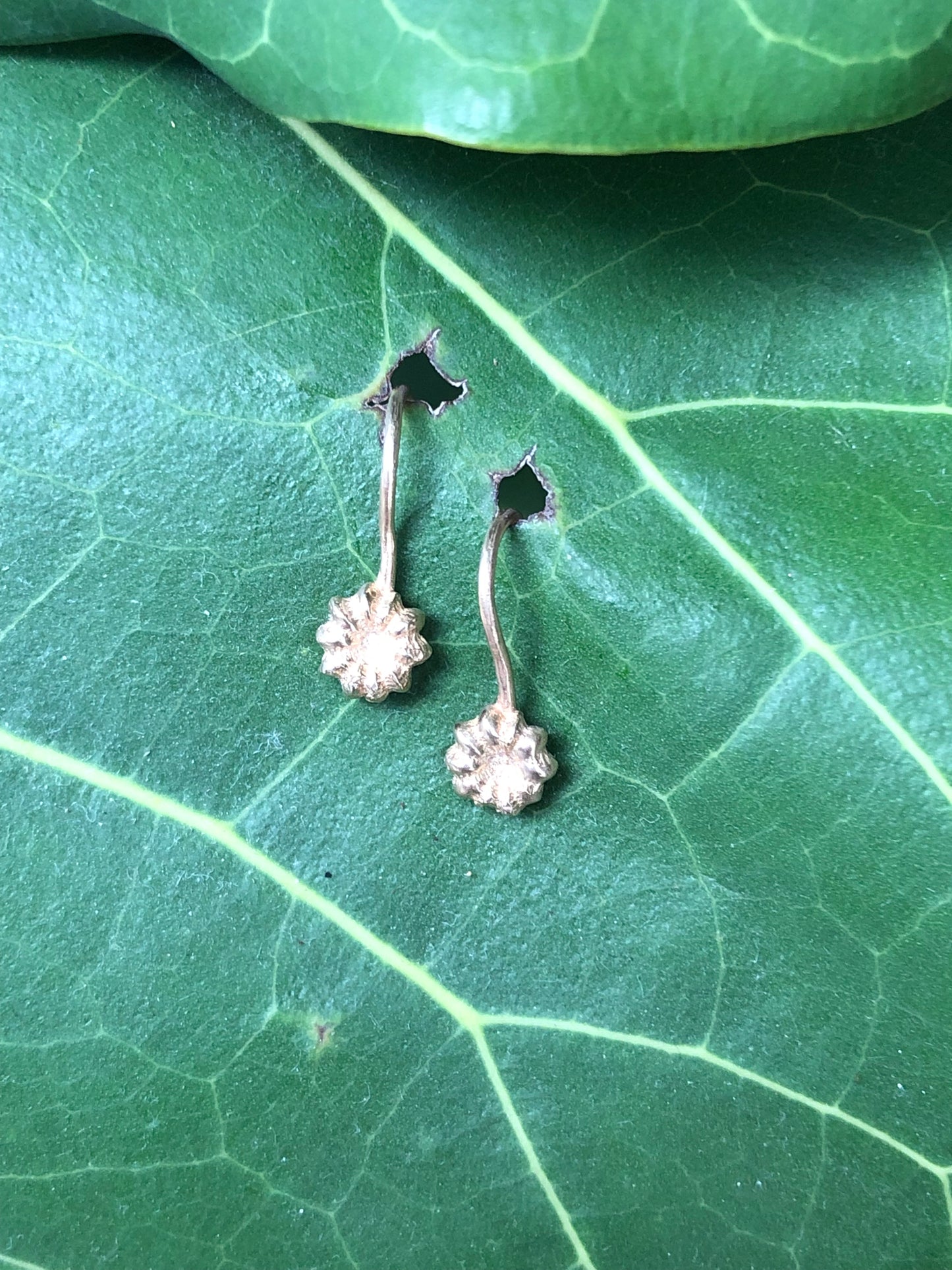 Orecchini amo Phytolacca