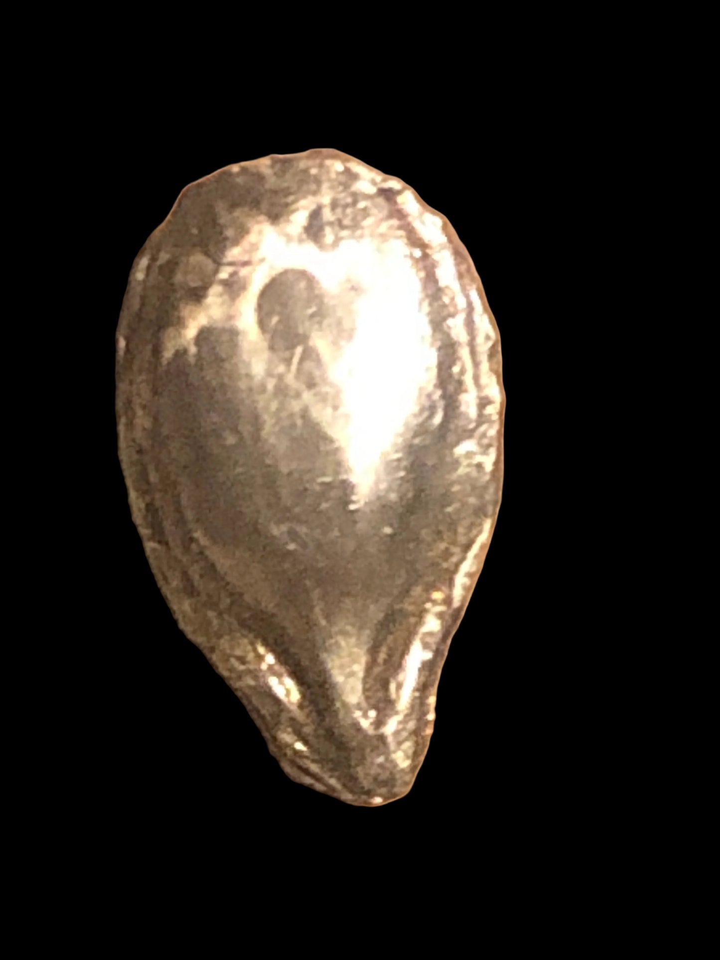 Zucca stud