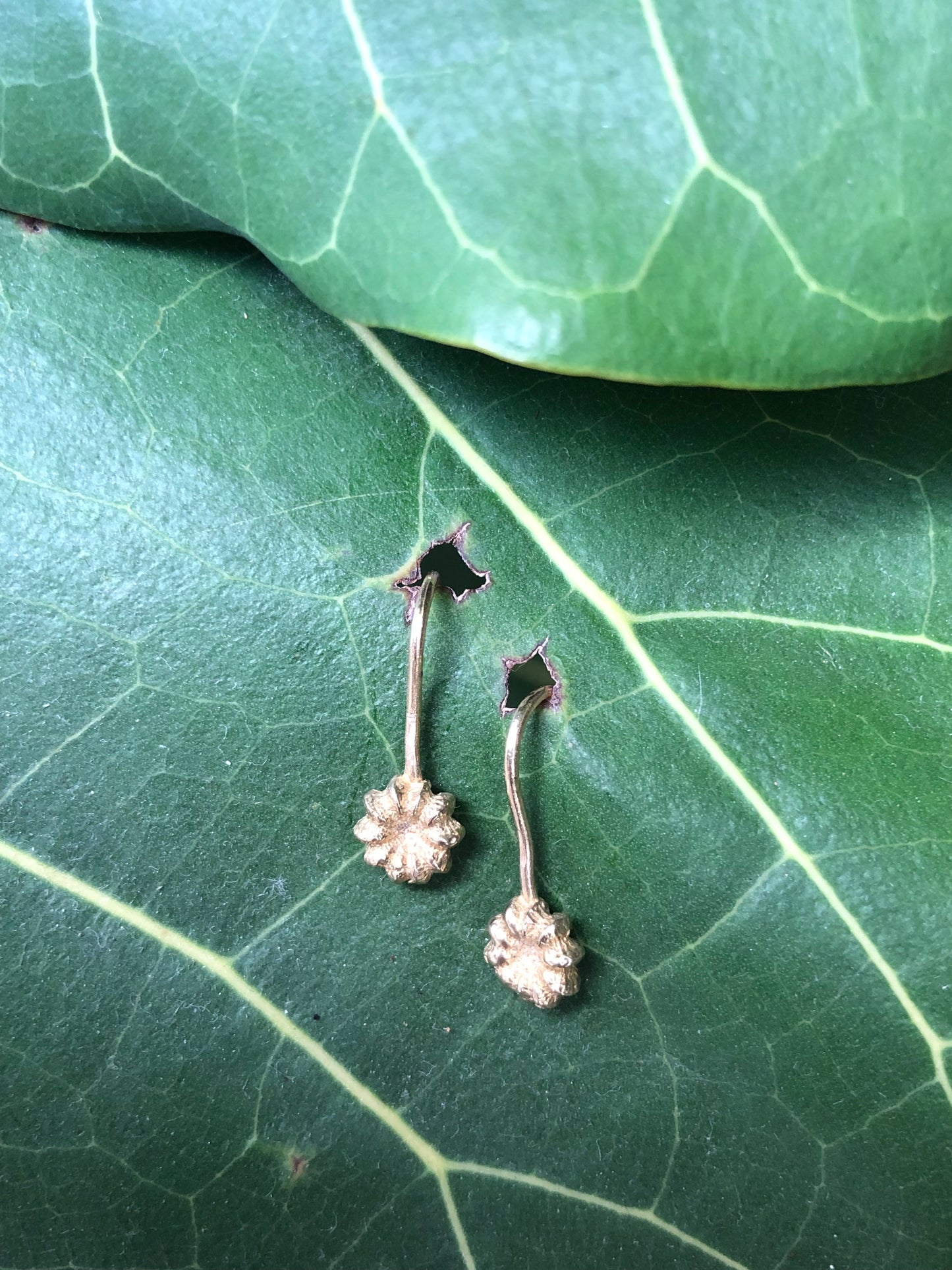 Orecchini amo Phytolacca