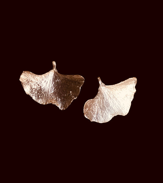 Orecchini Foglia Gingko amo e lobo