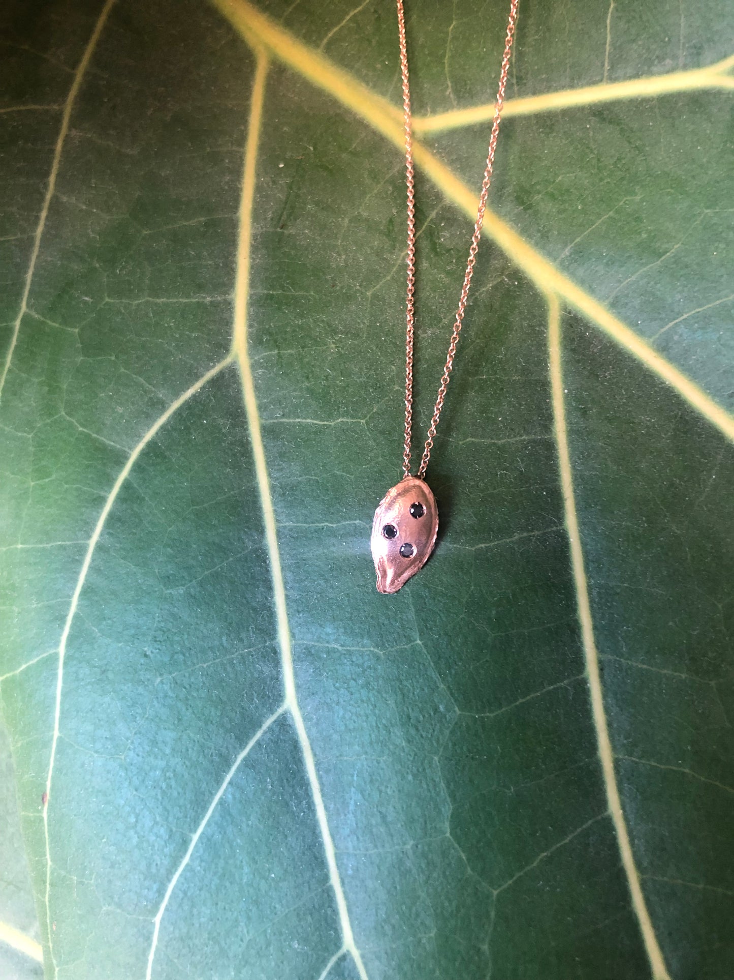 Collana seme Zucca
