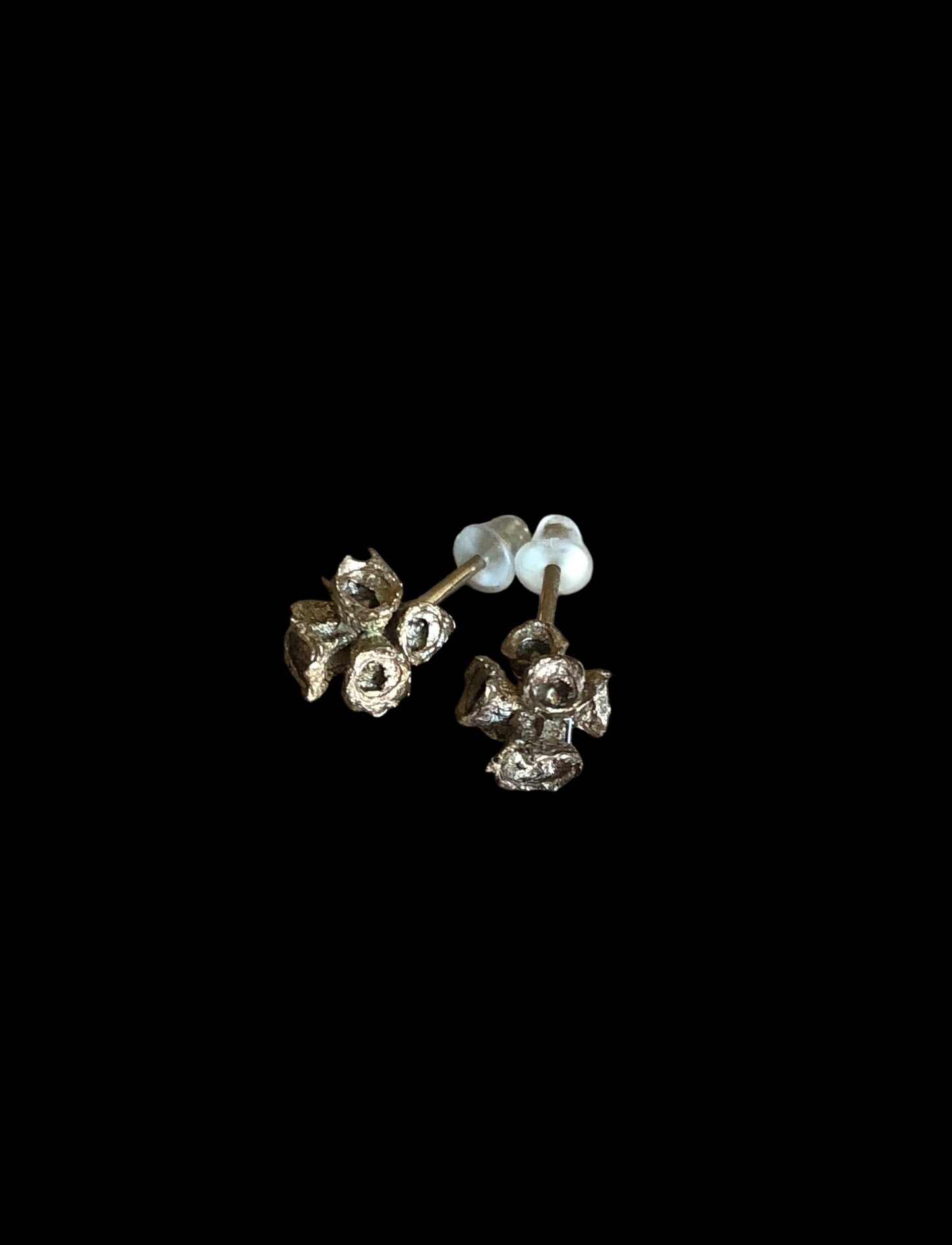 Callistemone multifiori