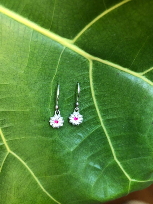 Orecchini amo Phytolacca