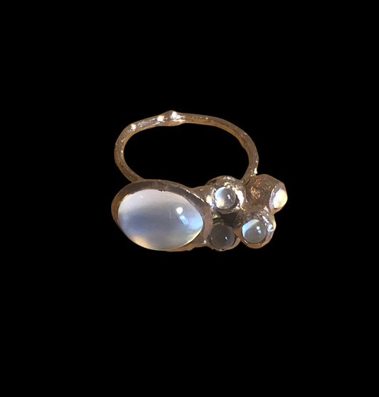 Anello Callistemone ramo