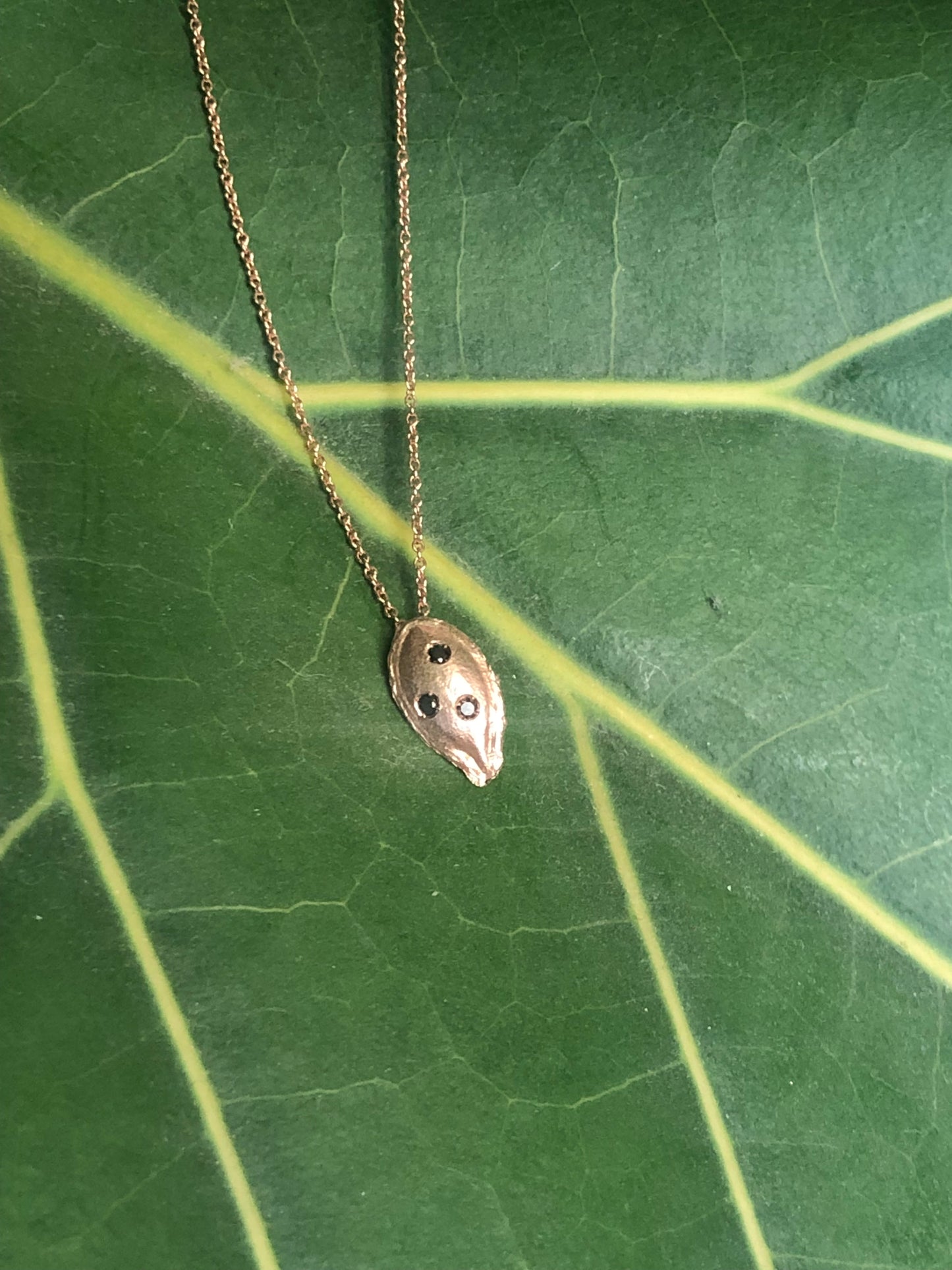 Collana seme Zucca