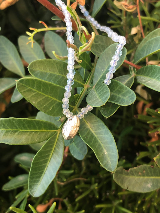 Collana Seme Ulivo