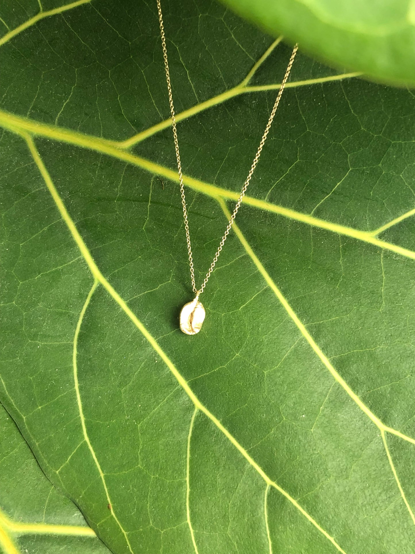 Collana Chicco di Caffè